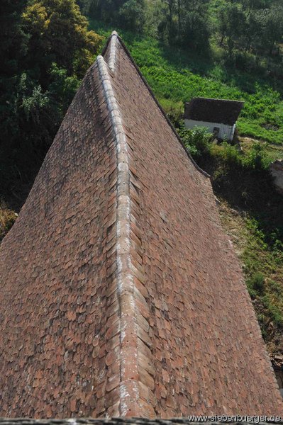 Blick auf das neu renovierte Dach der Kirche, aus dem Kirchturmfenster