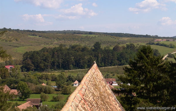Blick vom Kirchturm Richtung Osten