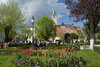 Tulpen am Marktplatz 